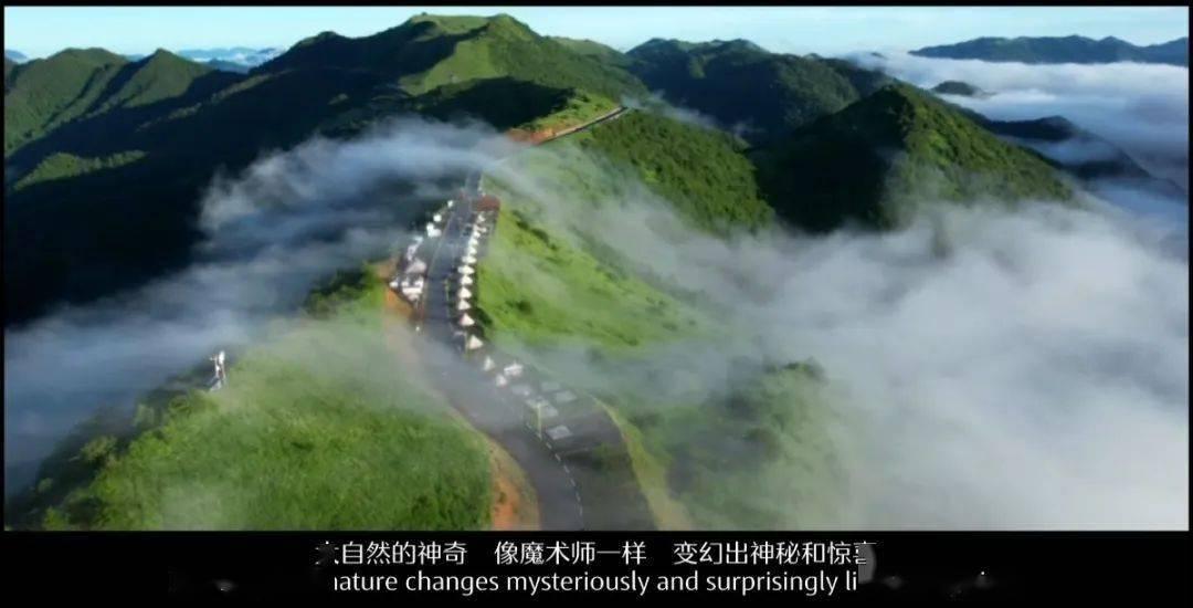 探索花费1个亿,在中国最大沙漠种植树木后,如今变得怎样了?,开启知识星球之旅