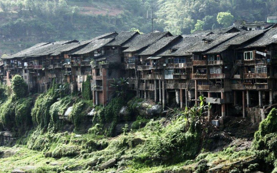 希望大家能给我一个建议?-以冷知识分享的平台